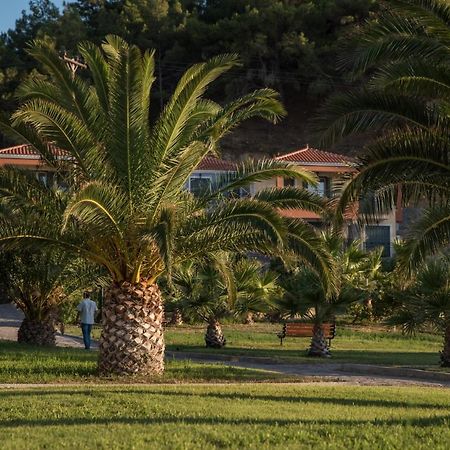 Ξενοδοχείο Άλμα Πέτρα Εξωτερικό φωτογραφία