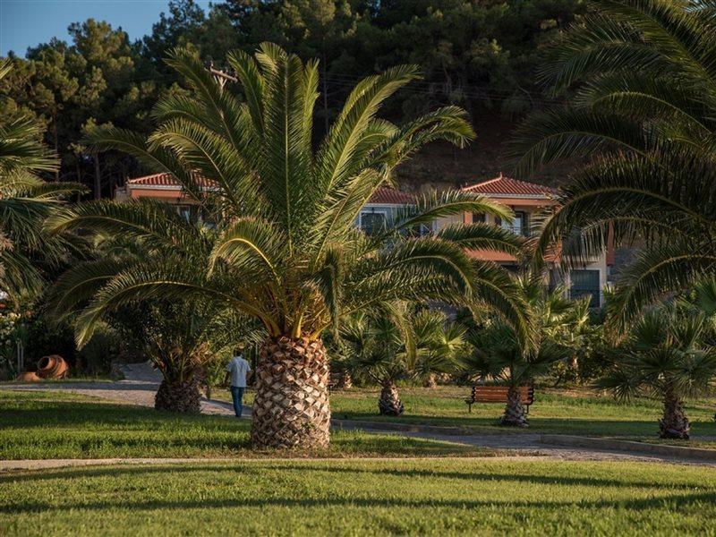 Ξενοδοχείο Άλμα Πέτρα Εξωτερικό φωτογραφία